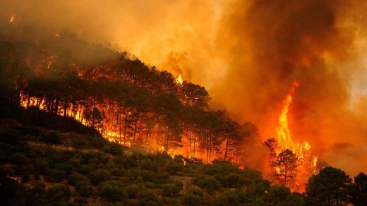 2017 ha sido el peor año en incendios forestales en España en una década