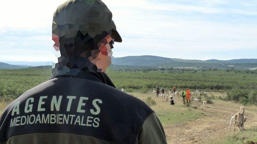 Un rebaño de ovejas, más protegido que los agentes medioambientales en la ley de Caza manchega