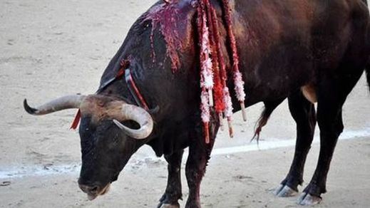 El Constitucional permite, por ahora, el veto de Baleares a las corridas con muerte del toro