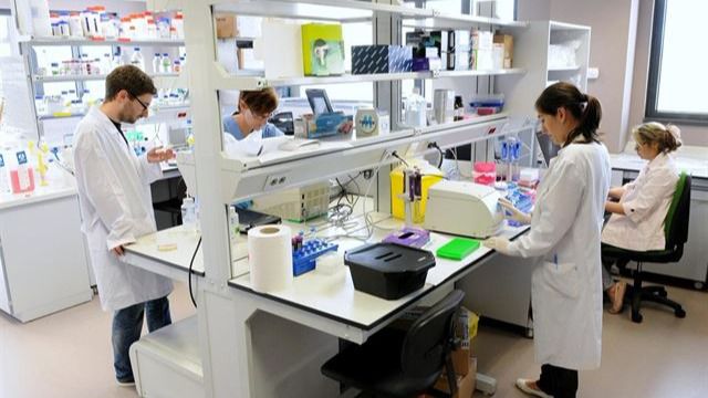 ¿Cómo se fijan los precios de los medicamentos innovadores en España?