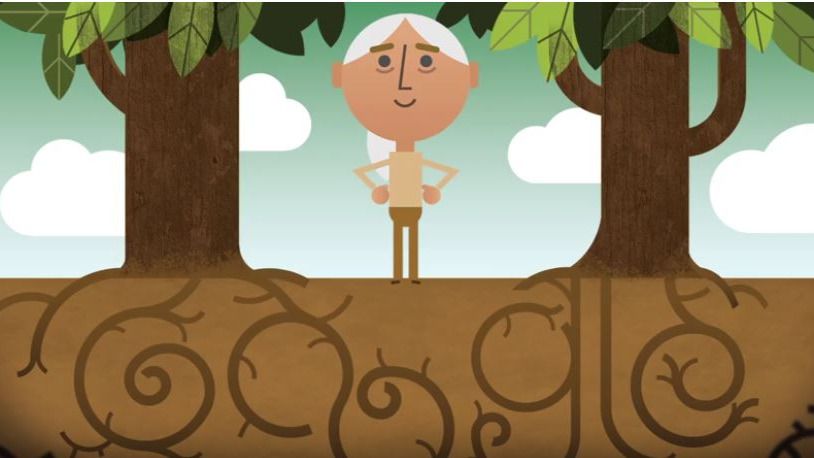 Google 'ficha' a Jane Goodall para celebrar el Día de la Tierra