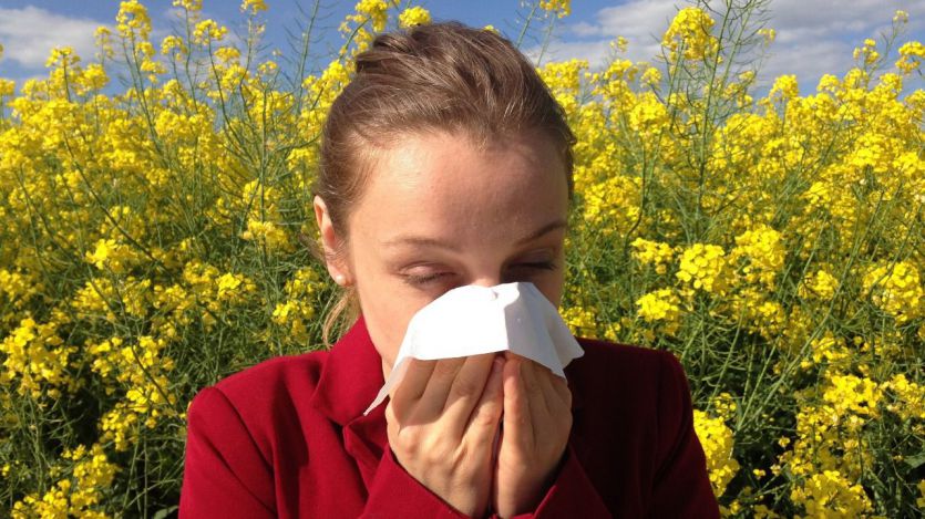 Los alérgicos se enfrentan a una primavera con unos niveles de polen superiores al año pasado