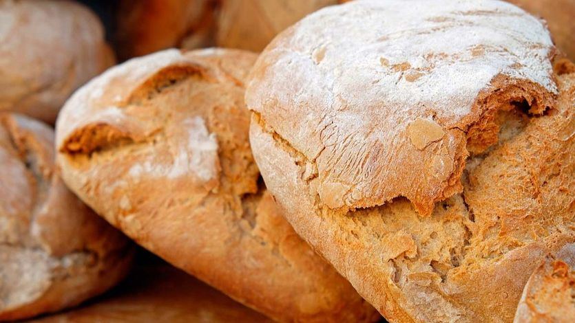 Cuántos tipos de pan existe