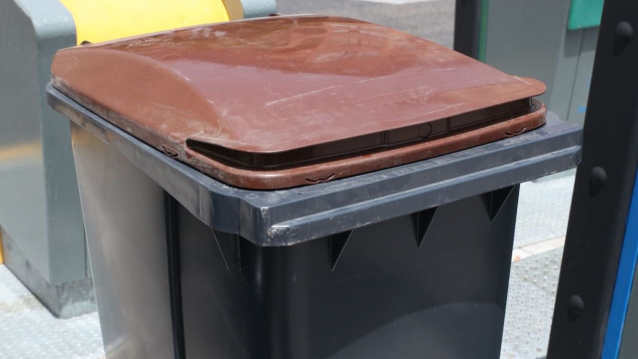 El contenedor marrón: todas las dudas sobre la nueva basura