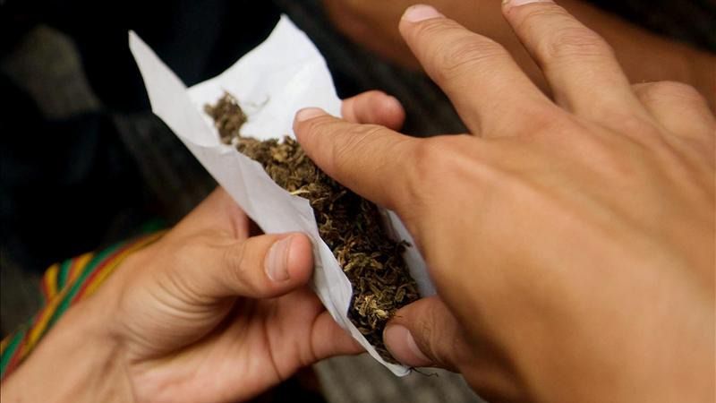 Unidos Podemos aboga por seguir los pasos de Canadá y legalizar la marihuana