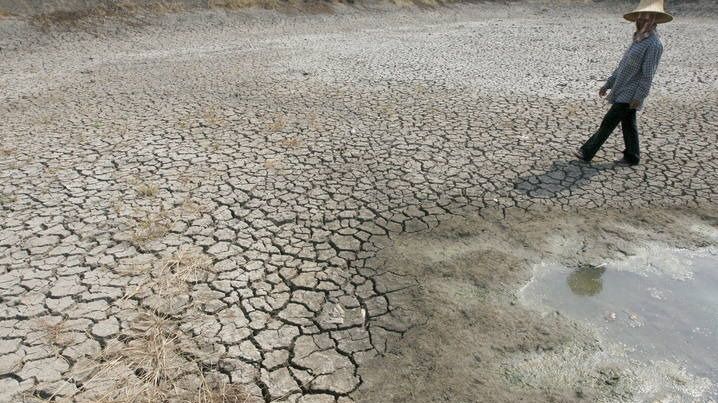 La ONU lanza una alerta a nivel mundial: la degradación del medio ambiente provocará millones de muertes