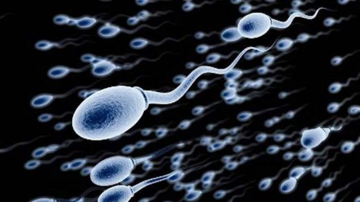 La calidad del esperma se ha reducido en un 60% en cuatro décadas