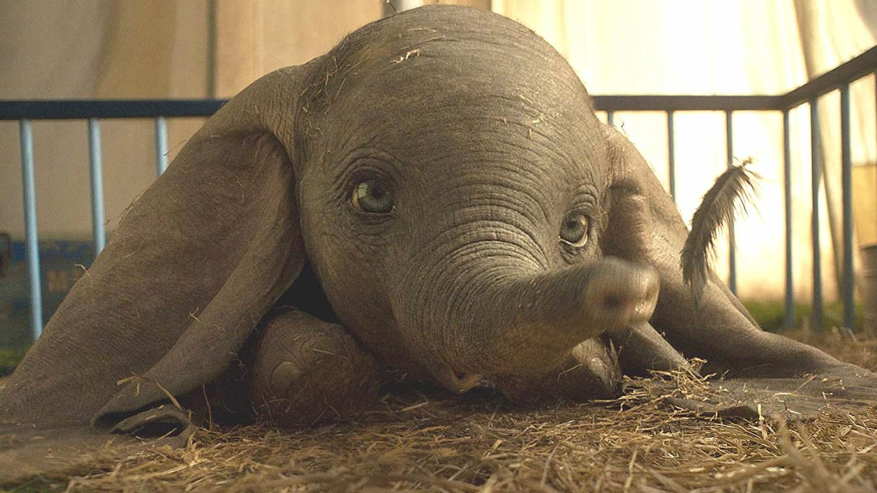 'Dumbo' encabeza la cartelera con mensajes animalistas y sindicalistas