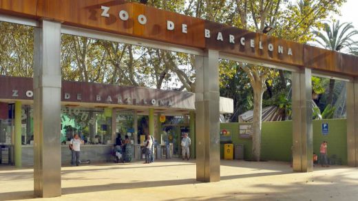 Polémica en Barcelona con el nuevo modelo de su zoo, que dejará el formato tradicional