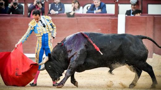 San Isidro: la debutante divisa santacolomeña de Valdellán nos regala a 'Carasucia', el mejor toro de la Feria (vídeo)