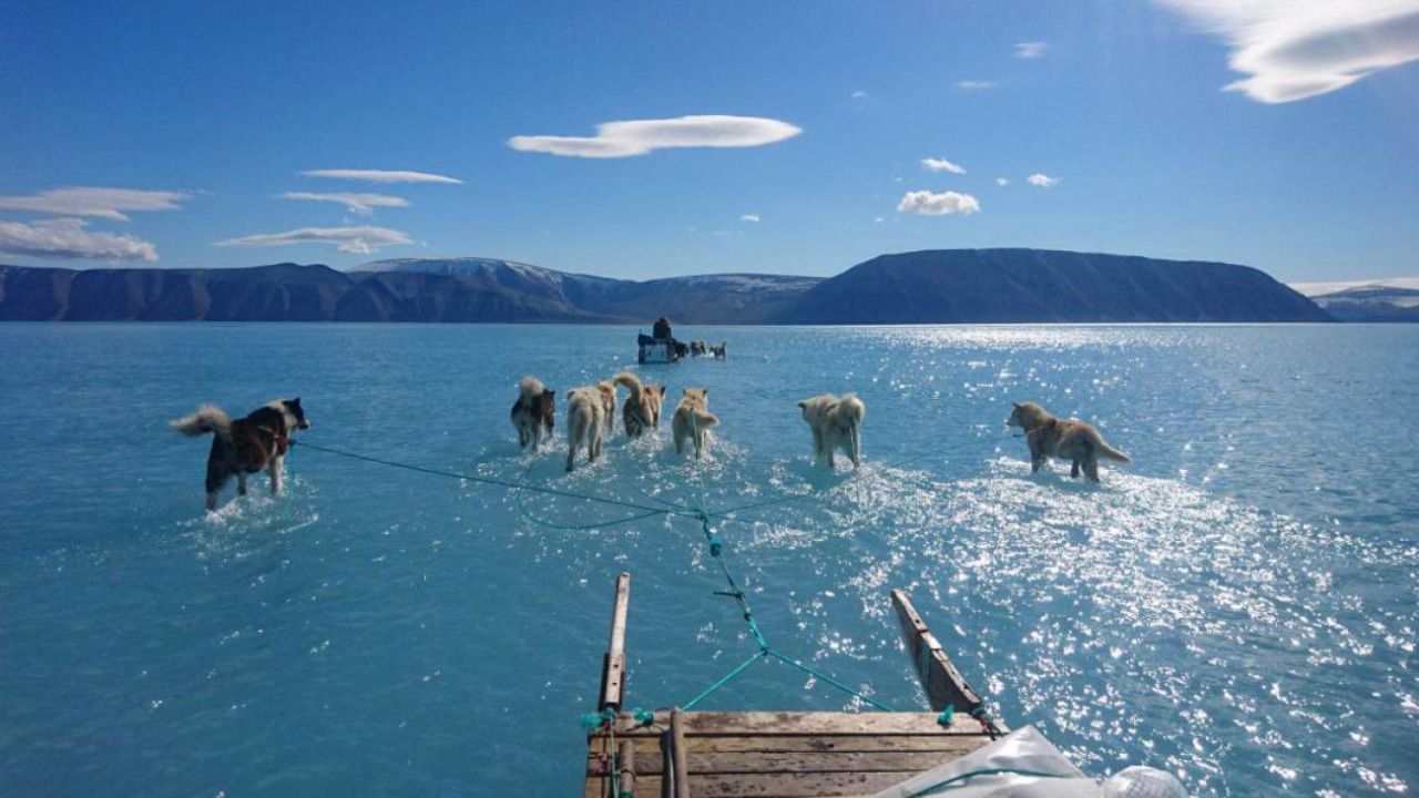 Otra evidencia más del cambio climático: adiós al hielo en Groenlandia