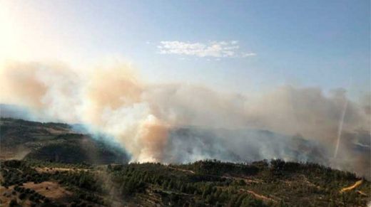 El incendio en la Ribera del Ebro sigue activo y sin controlar, pero al menos está acotado