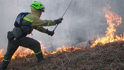 El Gobierno envía medios de extinción a 14 incendios forestales en 7 comunidades