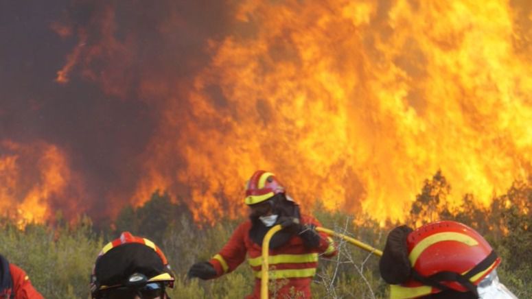 Un millar de personas permanecen desalojadas por el incendio de Gran Canaria
