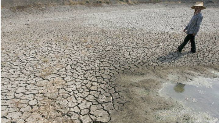 Una huelga mundial para declarar el estado de emergencia climática