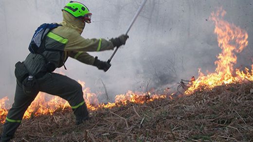 La superficie afectada por el incendio de Gran Canaria supera ya las 1.500 hectáreas y sigue avanzando