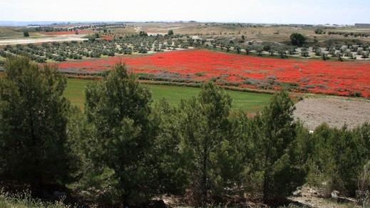 Panorámica de los terrenos de la Ermita de Santiago