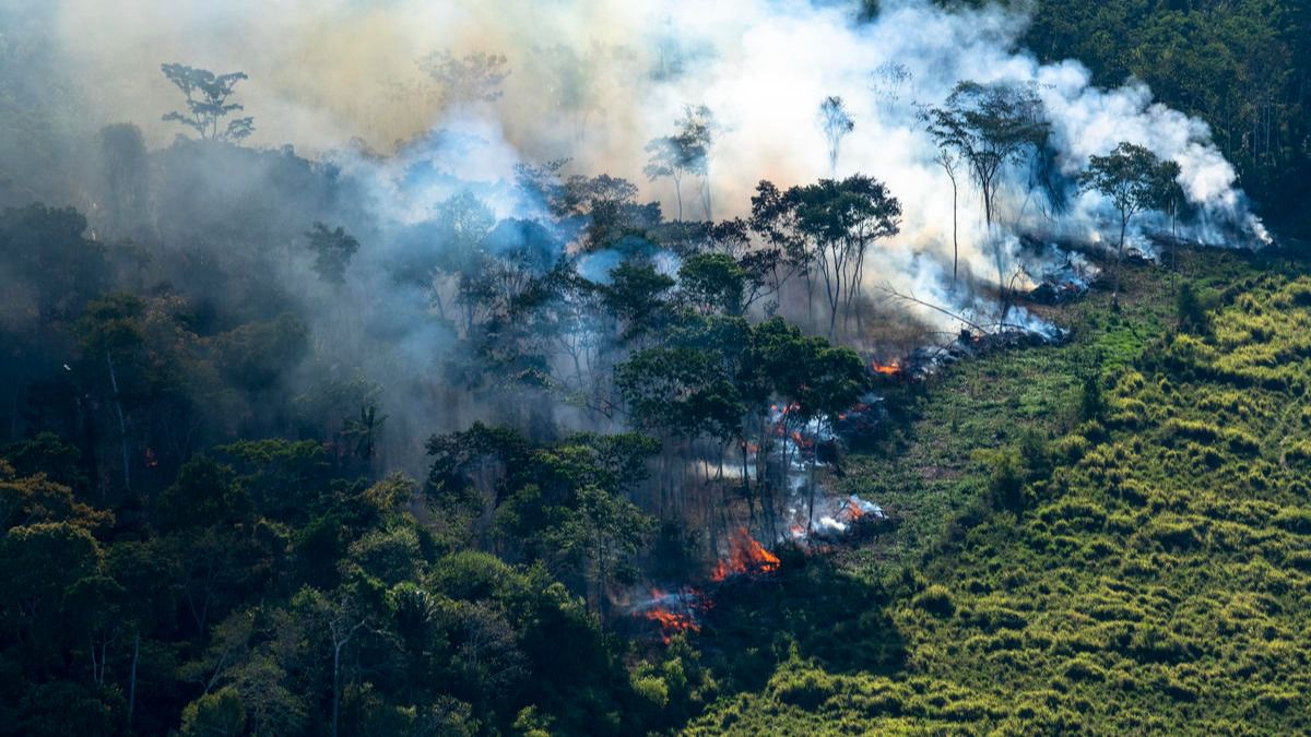 Arde el Amazonas, el pulmón verde del planeta: el humo llega hasta Sao Paulo