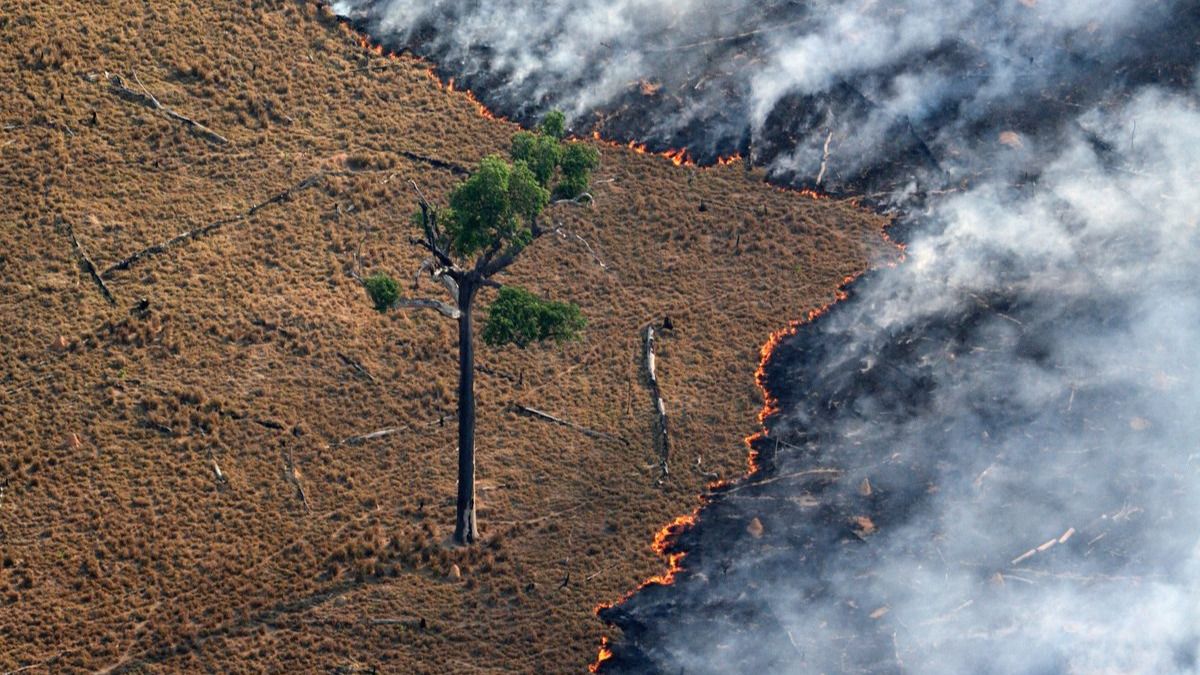Bolsonaro denuncia una "psicosis ambiental" y la presión internacional por el incendio del Amazonas
