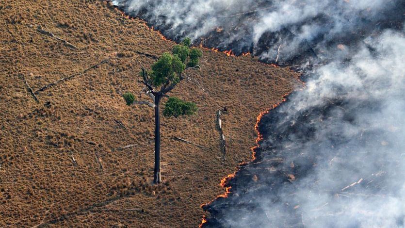 El G-7 destinará 20 millones a la extinción de los incendios del Amazonas