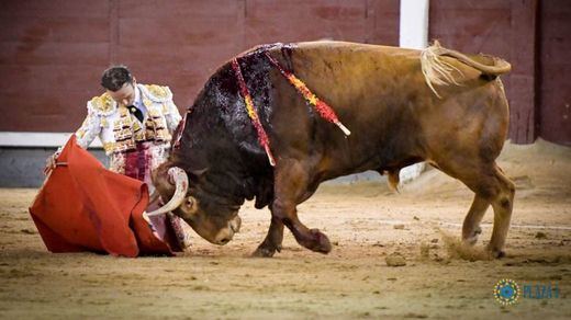 Ferrera fue el gran triunfador de la Feria de Otoño en su encierro en solitario del sábado 4 de octubre