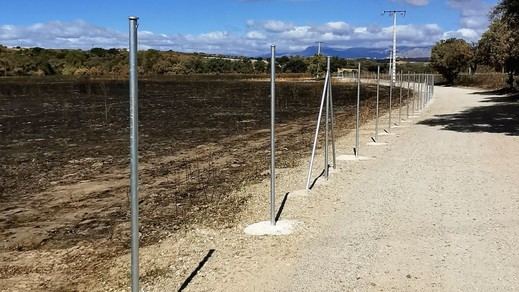 Camino La Moraleja en Tres Cantos (Foto: Plataforma Ecologista Madrileña)