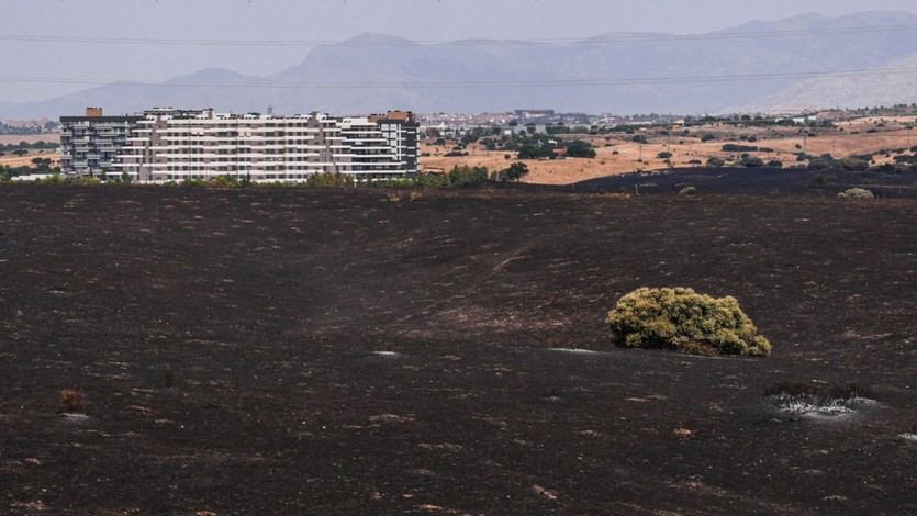 Área calcinada tras el incendio en Tres Cantos del pasado mes de agosto. (Foto: Comunidad de Madrid)
