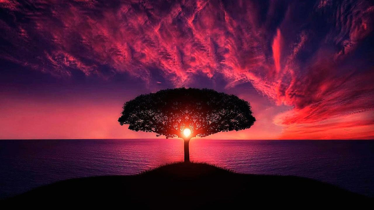 Horóscopo de hoy, domingo 10 de noviembre de 2019