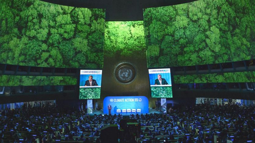 La Cumbre del Clima de Madrid (COP25) necesita contar con la biodiversidad para alcanzar el Acuerdo de París