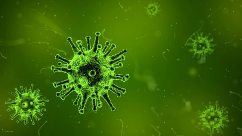 Qué es la 'neumonía de Wuhan' provocada por el coronavirus que golpea a Asia