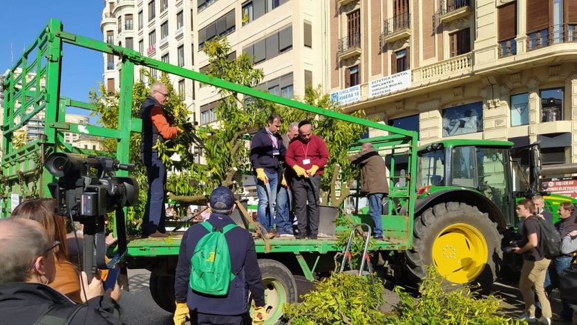 Protesta de agricultores en Valencia