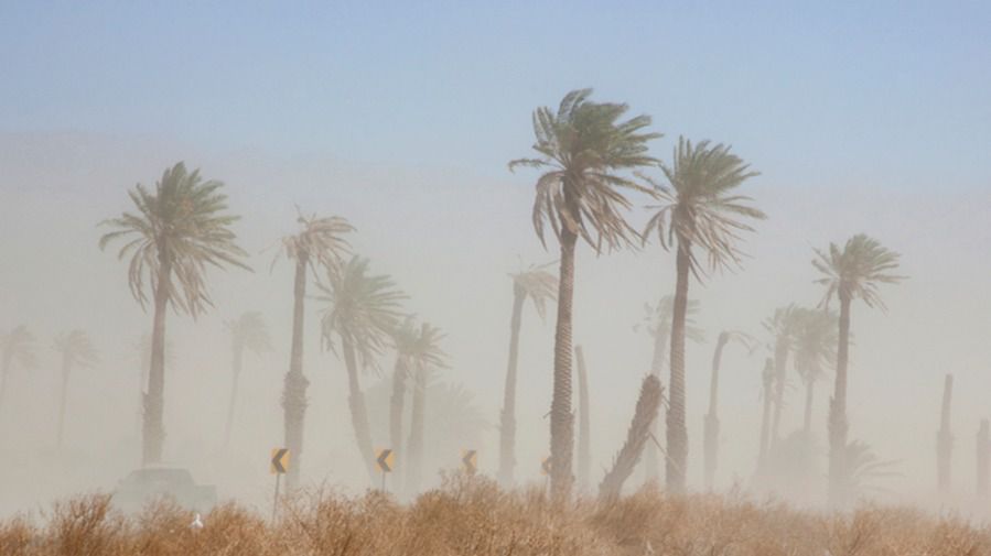 Canarias hace frente a una doble crisis: la fuerte calima y los incendios