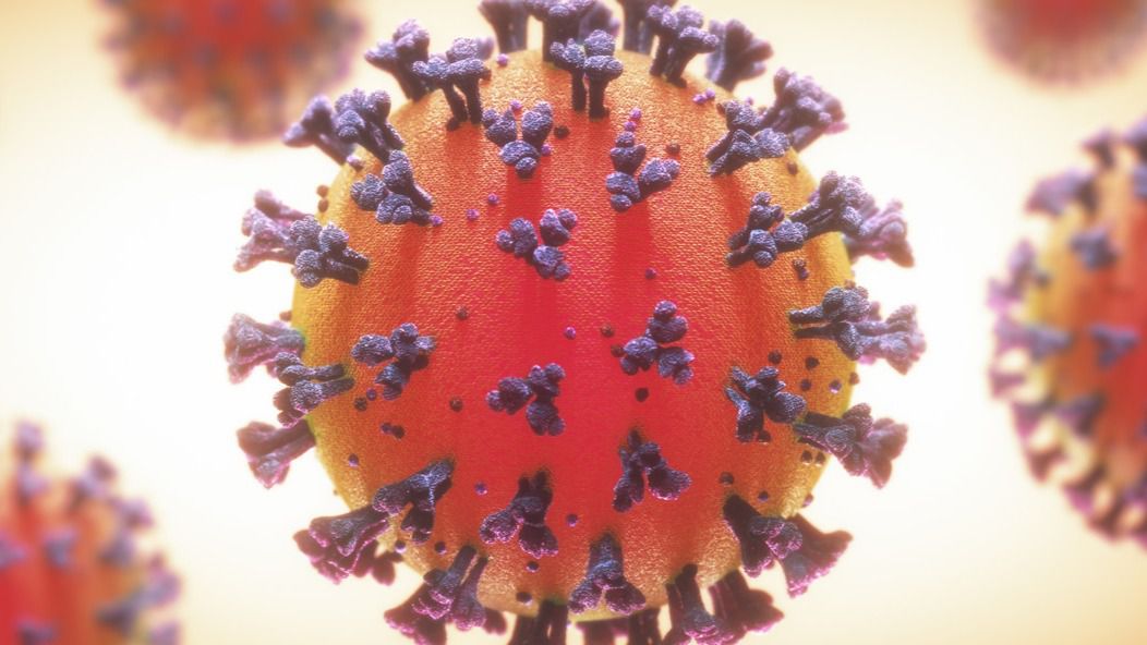 Qué es el estado de alarma y qué implica: crisis sanitaria por el coronavirus