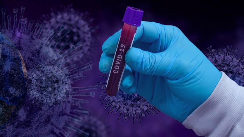 El Gobierno ya ha invertido 18 millones en investigaciones sobre el coronavirus