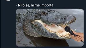Los mejores memes sobre el avistamiento de un cocodrilo en Valladolid