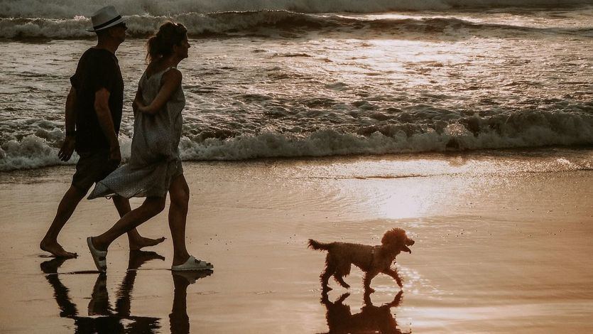 Estas son las negras cifras que dejó tras de sí la pandemia de coronavirus en el turismo en el mes de junio