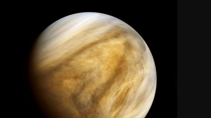 Hallan posibles indicios de vida en Venus