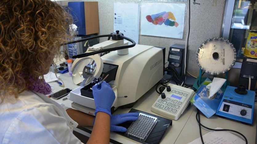 Investigadores desarrollan un test rápido 'fiable y sencillo' como alternativa a las PCR