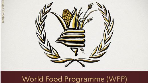 Sorpresa en el Premio Nobel de la Paz 2020: ni Greta ni la OMS, lo gana el Programa Mundial del Banco de Alimentos