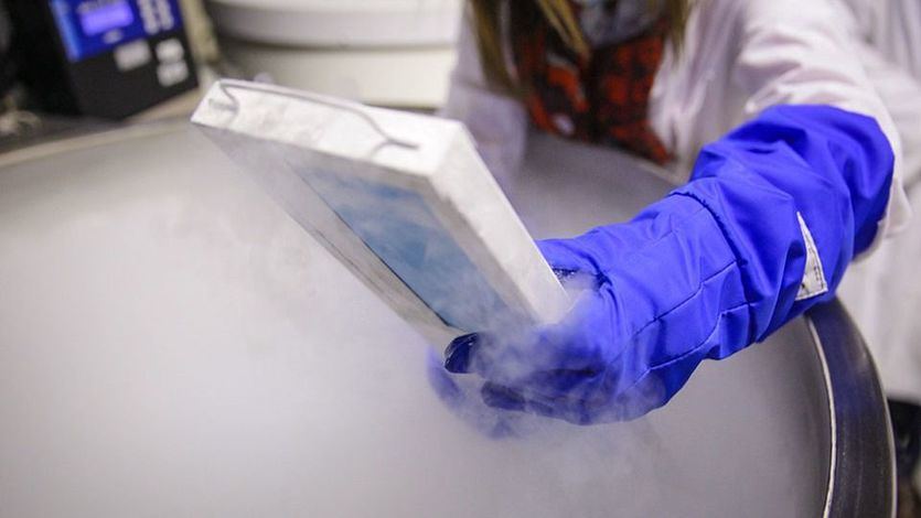 La vacuna española contra la covid-19 es eficaz al 100%, pero aún se prueba en ratones