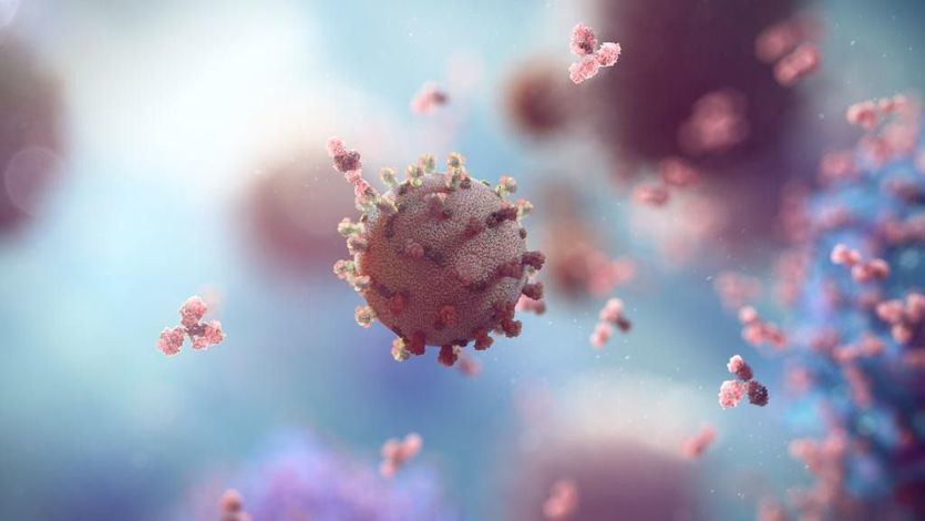 Nuevo hallazgo del CSIC: un nanomaterial que elimina el coronavirus