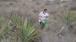 'Plogging', la combinación del deporte y el cuidado de la naturaleza