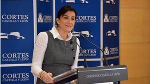 El PSOE de Castilla y León presenta una moción de censura contra el Gobierno de PP y Cs