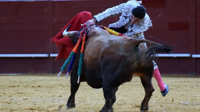 Un mano a mano con mal fario: muy grave percance de Juan José Domínguez, grave de Pablo Aguado y dos orejas para Roca Rey