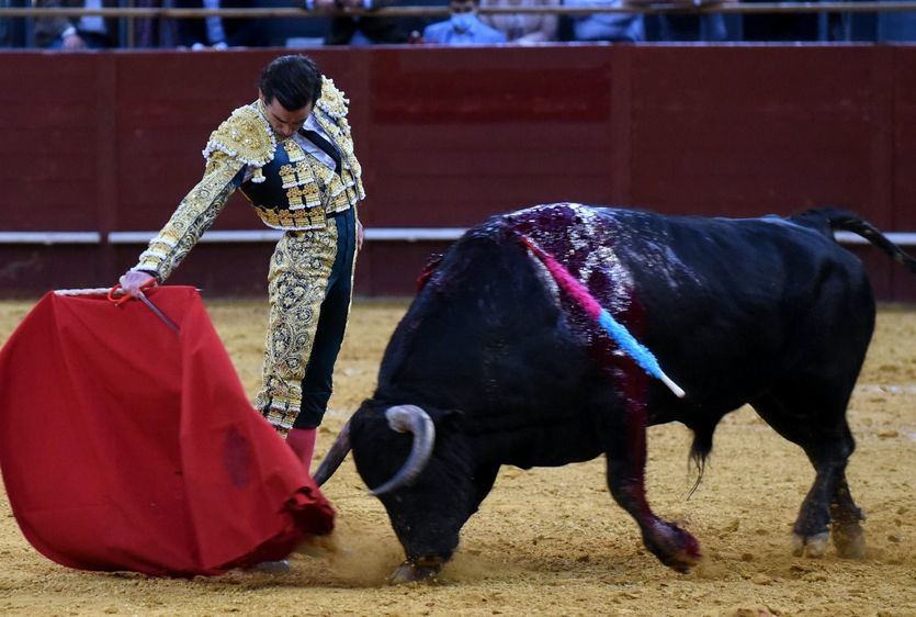 Uno de los extraordinarios redondos que Juan Ortega dio a su primer toro