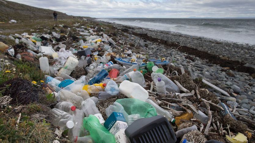 Entran en vigor las nuevas normas de Europa para los plásticos de un solo uso