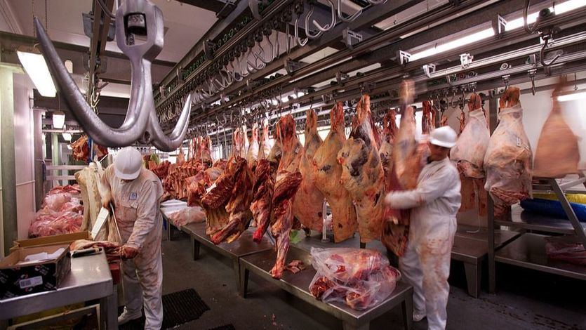 Garzón, tras las críticas por pedir consumir menos carne: 'Estoy preocupado por la salud de nuestros conciudadanos'
