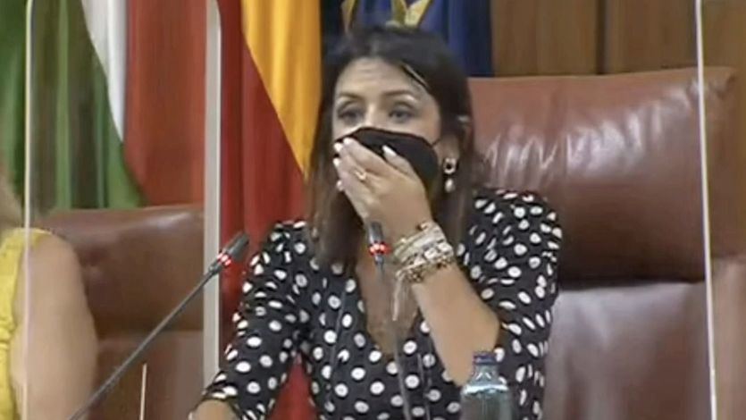 Una rata se cuela en el Parlamento andaluz y causa gran alboroto
