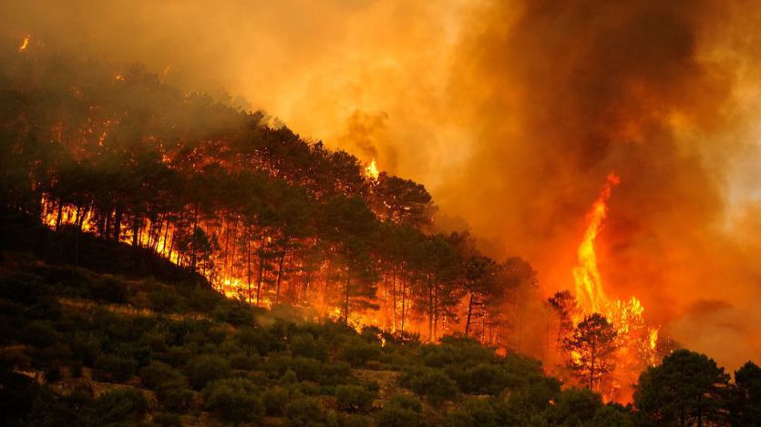 Controlado al 90% el grave incendio que se inició el fin de semana en Tarragona y Barcelona