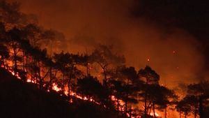 Los incendios arrasan el sur de Europa: Italia, Grecia y Turquía se llevan la peor parte
